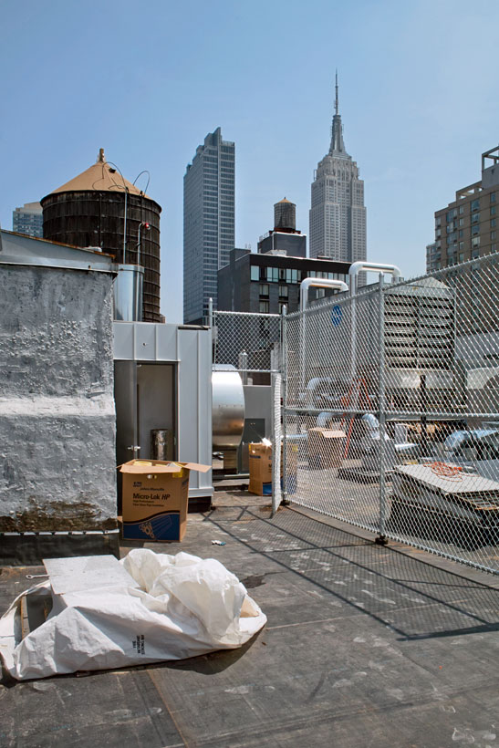 Empire State Building and rooftop