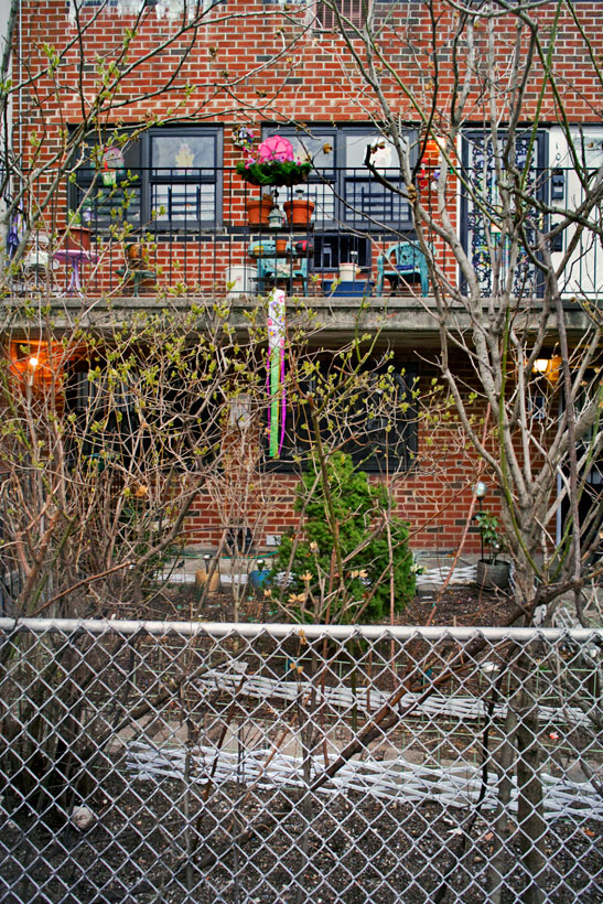 N5th garden